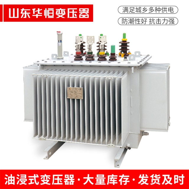 S13-10000/35申扎申扎申扎电力变压器